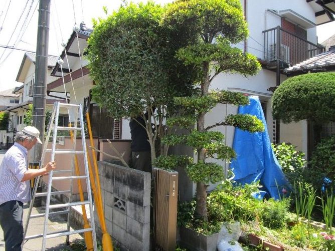 地域課題に取り組む 広島の協同労働団体　「プラットフォーム」の支援受け、19団体が活躍